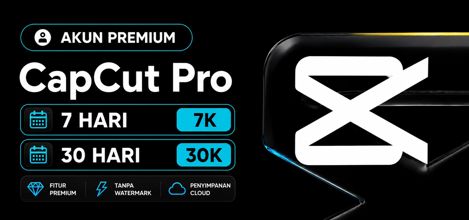 CAPCUT PRO
